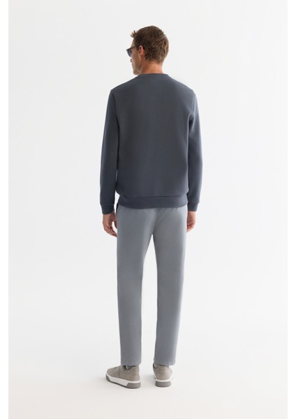 Erkek Antrasit Bisiklet Yaka Pamuklu Baskılı Elastan Regular Fit Sweatshirt A42Y1221 modelleri