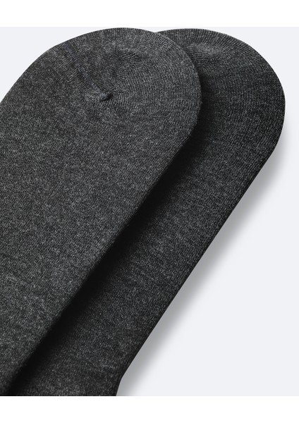 Erkek Antrasit Pamuklu Patik Çorap B008556 fiyatları