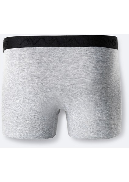Erkek Gri Basic Pamuklu Tekli Regular Fit Boxer B009510 fiyatları