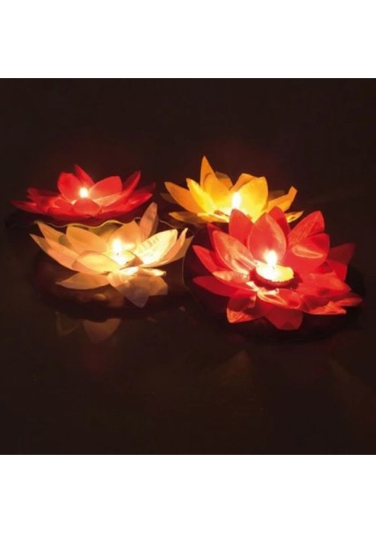 - Su Feneri fiyatları