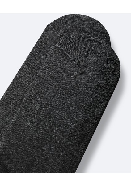 Erkek Antrasit Pamuklu Sneaker Çorap B008553 fiyatları