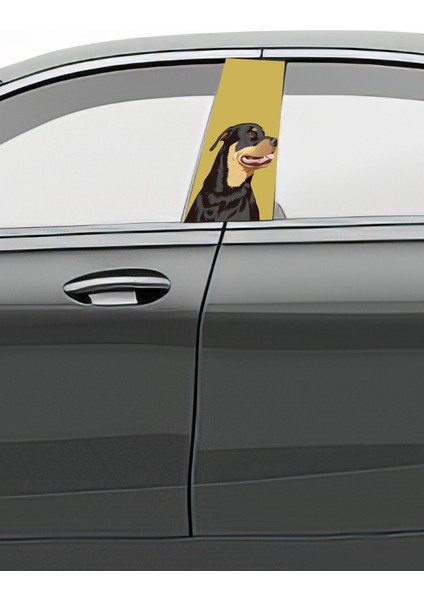 Araç Kapı Direk Kaplama Folyosu Desenli (Sağ Sol Takım) (2 Adet) - 22X50 cm