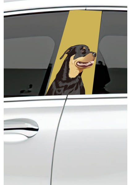 Araç Kapı Direk Kaplama Folyosu Desenli (Sağ Sol Takım) (2 Adet) - 22X50 cm fiyatları