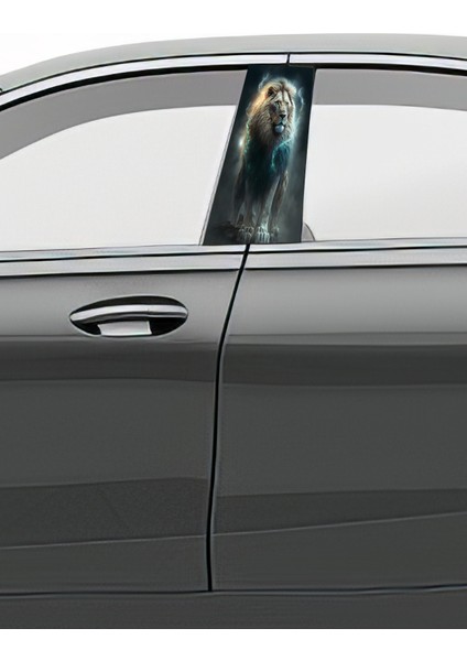 Araç Kapı Direk Kaplama Folyosu Desenli (Sağ Sol Takım) (2 Adet) - 22X50 cm