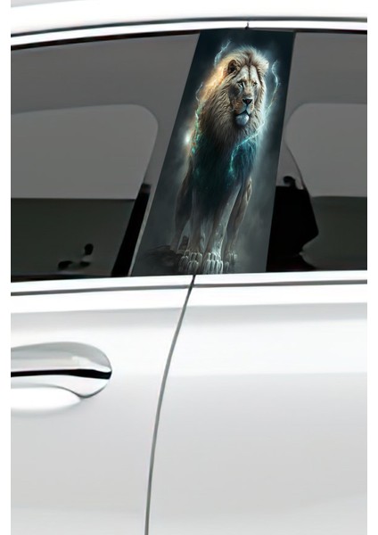 Araç Kapı Direk Kaplama Folyosu Desenli (Sağ Sol Takım) (2 Adet) - 22X50 cm fiyatları