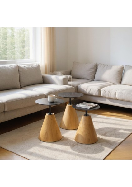 Üçlü Yuvarlak Mantar Zigon Sehpa Seti NO:451 | Salon Sehpa Takımı fiyatları