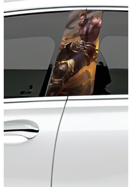 Araç Kapı Direk Kaplama Folyosu Desenli Sağ Sol Takım 2 Adet 22X50 cm fiyatları