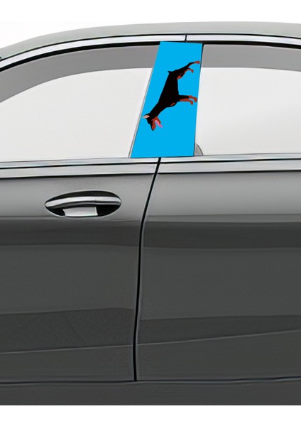 Araç Kapı Direk Kaplama Folyosu Desenli Sağ Sol Takım 2 Adet 22X50 cm