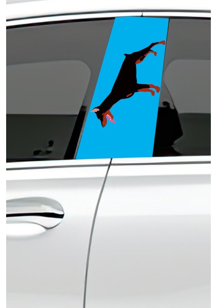 Araç Kapı Direk Kaplama Folyosu Desenli Sağ Sol Takım 2 Adet 22X50 cm fiyatları