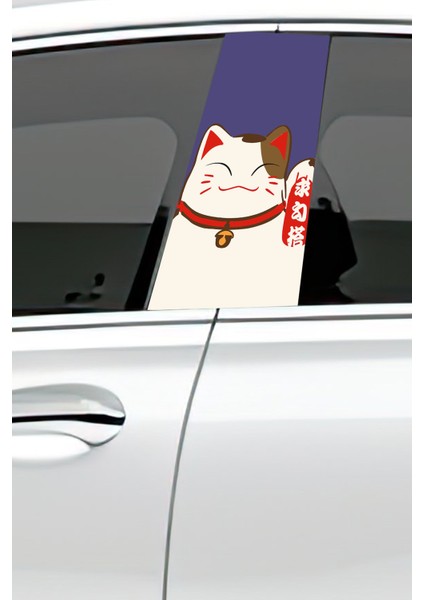 Araç Kapı Direk Kaplama Folyosu Desenli (Sağ Sol Takım) (2 Adet) - 22X50 cm fiyatları