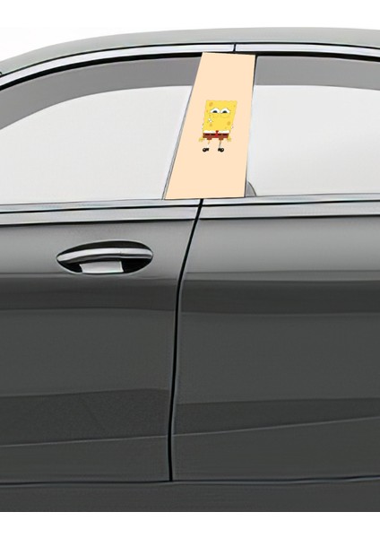 Araç Kapı Direk Kaplama Folyosu Desenli (Sağ Sol Takım) (2 Adet) - 22X50 cm