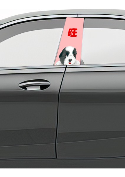 Araç Kapı Direk Kaplama Folyosu Desenli (Sağ Sol Takım) (2 Adet) - 22X50 cm