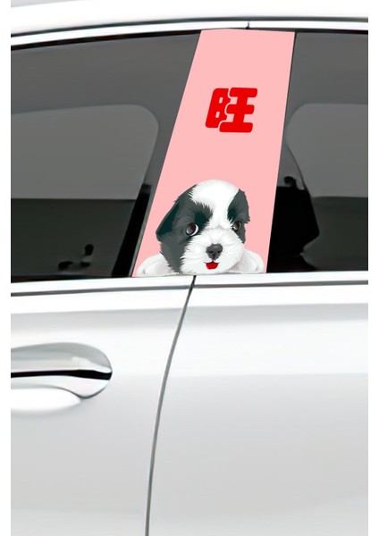 Araç Kapı Direk Kaplama Folyosu Desenli (Sağ Sol Takım) (2 Adet) - 22X50 cm fiyatları