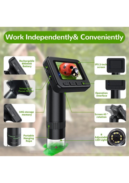 Çocuklar Için Mikroskop 50X-1000X Büyütme IPS Hd Ekran, 2-31MP Fotoğraf, 1080P Video, 2 Saatlik Pil Ömrü, Kolay Taşıma (Yurt Dışından) indirimleri