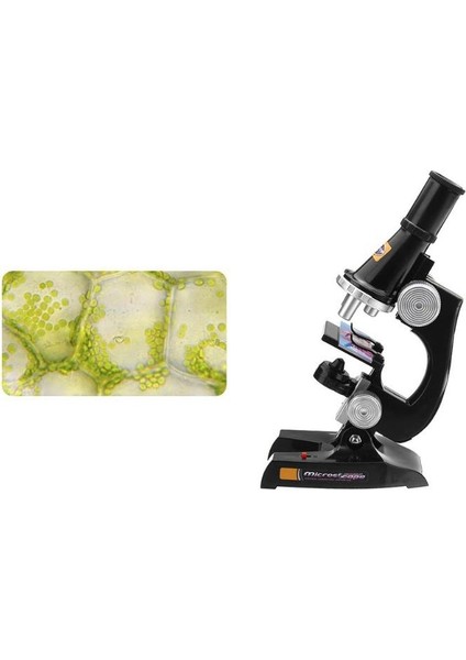 Mikroskop Kiti Lab LED 100X/200X/450X Homeschool Science Eğitim Oyuncak Hediyesi Rafine Biyolojik Mikroskop Çocuk Çocuk (Yurt Dışından) fırsatları