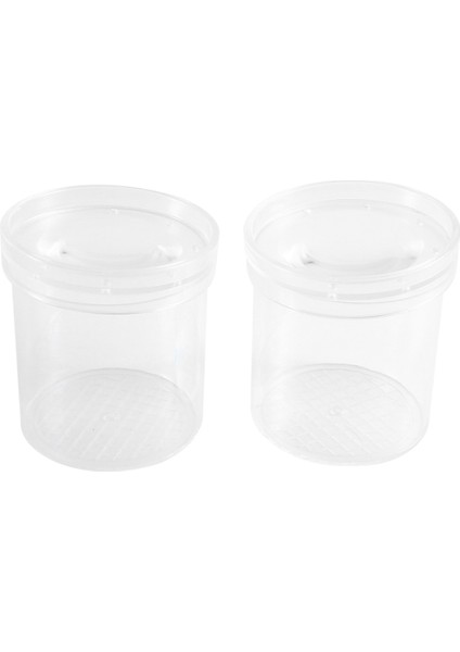 Böcek Gözlem Kupası Böcek Büyüteci Böcek Besleme Kutusu (Yurt Dışından) fırsatları