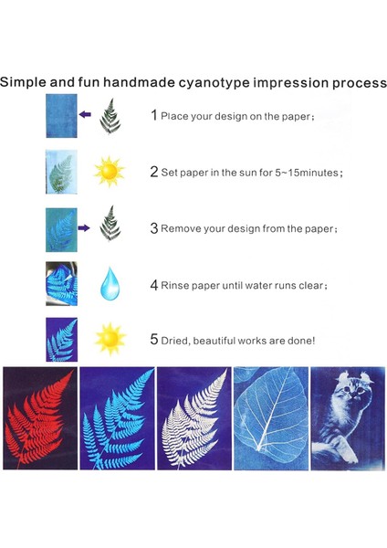 30 Yaprak Sun Baskı Kağıdı Kitleri Siyanotip Kağıdı A4 A5 (Yurt Dışından) modelleri