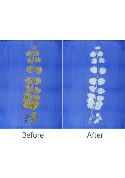 30 Yaprak Sun Baskı Kağıdı Kitleri Siyanotip Kağıdı A4 A5 (Yurt Dışından) fırsatları
