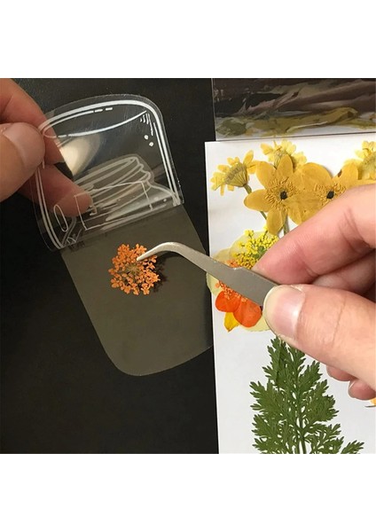 150 Adet Şeffaf Kurutulmuş Çiçek Ayraçları Dıy El Yapımı Ayraçlar (Yurt Dışından) fırsatları