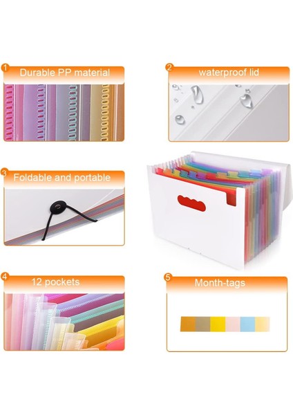 Ev Ofis Okul Için 12 Cepli A4 Akordeon Dosya Belge Düzenleyici (Yurt Dışından) modelleri