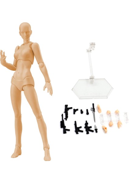 , Çizim Modelleri Figür Sanatçı Çizim Boyama Modeli, A (Yurt Dışından)