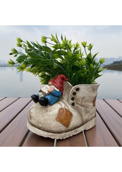 Sukulent Saksıları, Iç Mekan Saksıları, Bodur Saksılar (Yurt Dışından) fiyatları