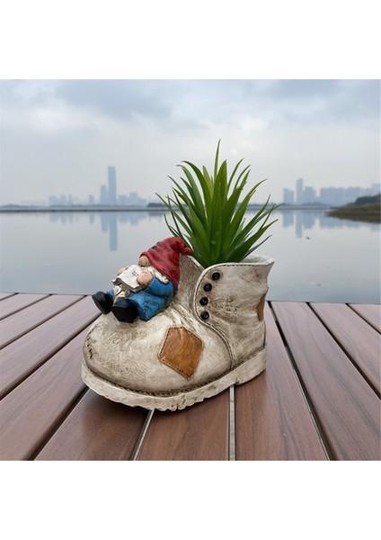 Sukulent Saksıları, Iç Mekan Saksıları, Bodur Saksılar (Yurt Dışından) fırsatları