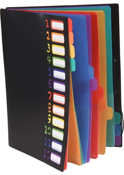 24 Şeffaf Cepli Genişleyen Dosya Klasörü 12 Renkli Sekme 1 Adet (Yurt Dışından) fiyatları