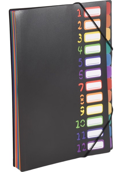 24 Şeffaf Cepli Genişleyen Dosya Klasörü 12 Renkli Sekme 1 Adet (Yurt Dışından) modelleri