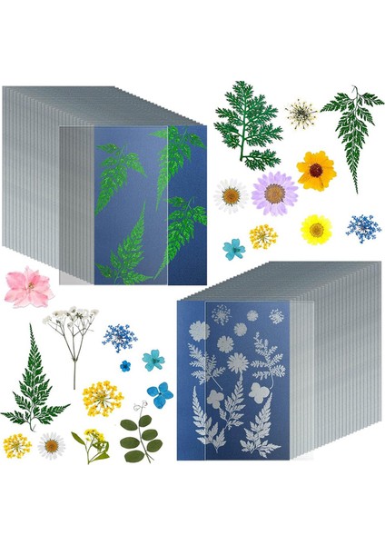 38 Yaprak Siyanotip Kağıdı A4 Güneş Baskı Kağıdı Kiti (Yurt Dışından) fiyatları