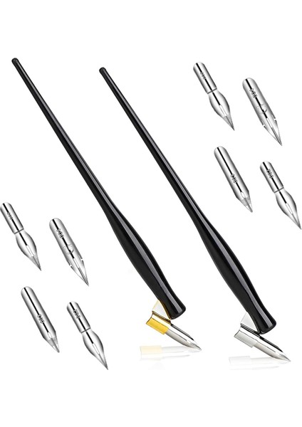 10 Adet Eğik Kaligrafi Kalem Seti Çizgi Roman Kalem Ucu Seti (Yurt Dışından)