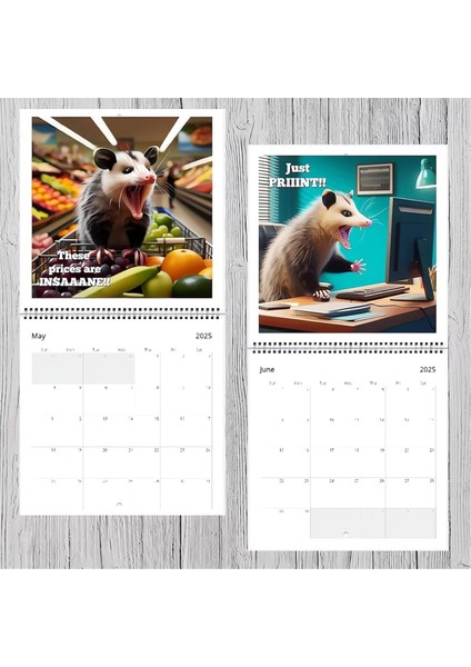 2025 Komik Opossumlar Takvimi (Yurt Dışından) modelleri