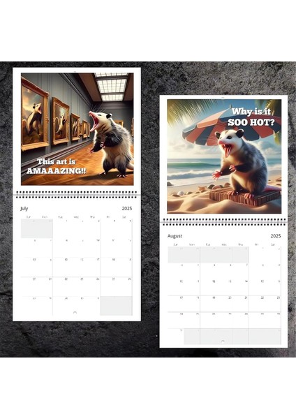 2025 Komik Opossumlar Takvimi (Yurt Dışından) fırsatları