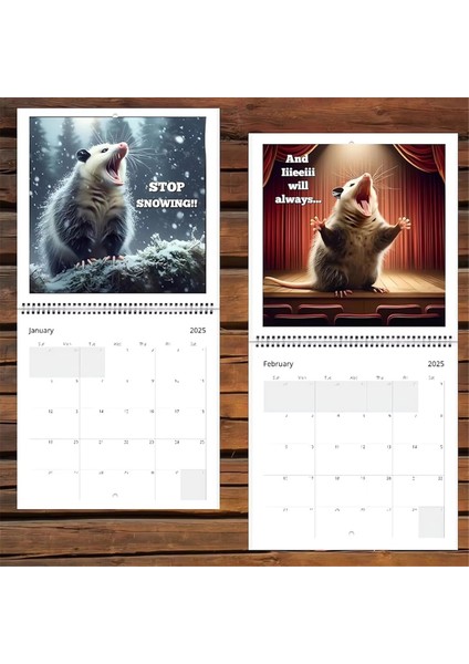 2025 Komik Opossumlar Takvimi (Yurt Dışından) indirimleri