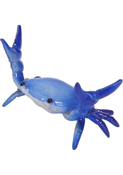 Sevimli Kalemlik Ağırlık Kaldırma Yengeçleri Braket Hediye Kırtasiye Mavi (Yurt Dışından)