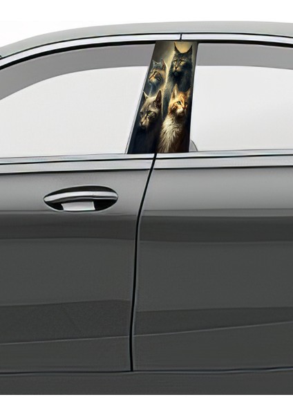 Araç Kapı Direk Kaplama Folyosu Desenli Sağ Sol Takım 2 Adet 22X50 cm