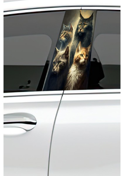 Araç Kapı Direk Kaplama Folyosu Desenli Sağ Sol Takım 2 Adet 22X50 cm fiyatları