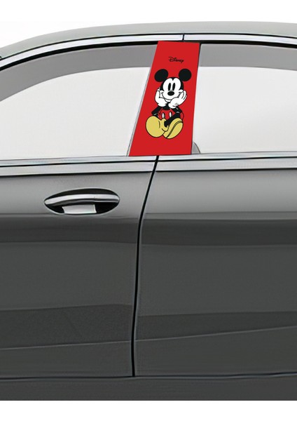 Araç Kapı Direk Kaplama Folyosu Desenli (Sağ Sol Takım) (2 Adet) - 22X50 cm