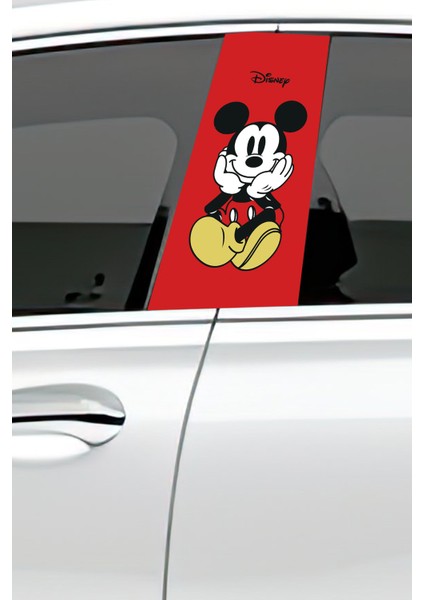 Araç Kapı Direk Kaplama Folyosu Desenli (Sağ Sol Takım) (2 Adet) - 22X50 cm fiyatları