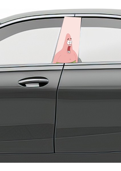 Araç Kapı Direk Kaplama Folyosu Desenli Uyumlu(Sağ Sol Takım) (2 Adet) - 22X50 cm