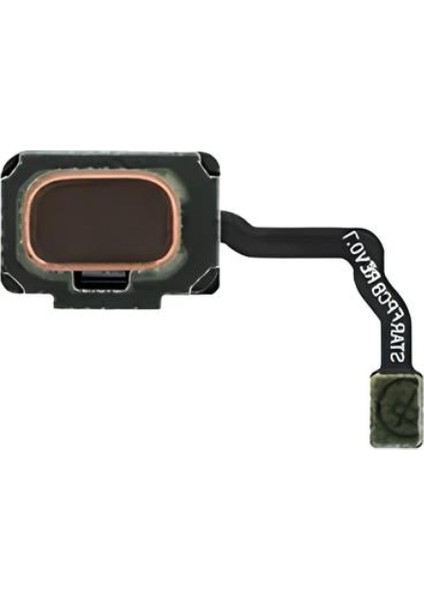 Samsung S9 Plus G965F Parmak Izi Gold