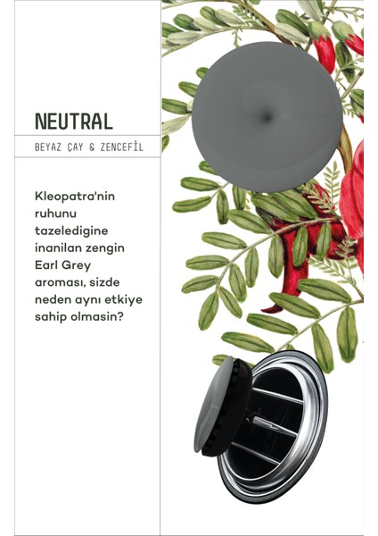 Araba Klima Kokusu, Spin Oto Kokusu, Beyaz Çay Zencefil Aromalı, 90 Gün Etkili Araç Kokusu - Neutral fiyatları