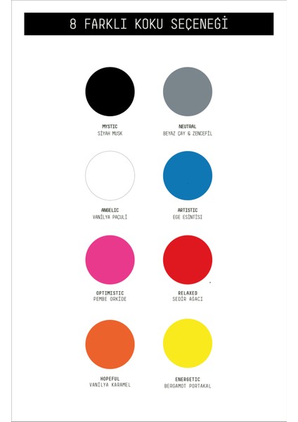 Araba Klima Kokusu, Spin Oto Kokusu, Beyaz Çay Zencefil Aromalı, 90 Gün Etkili Araç Kokusu - Neutral