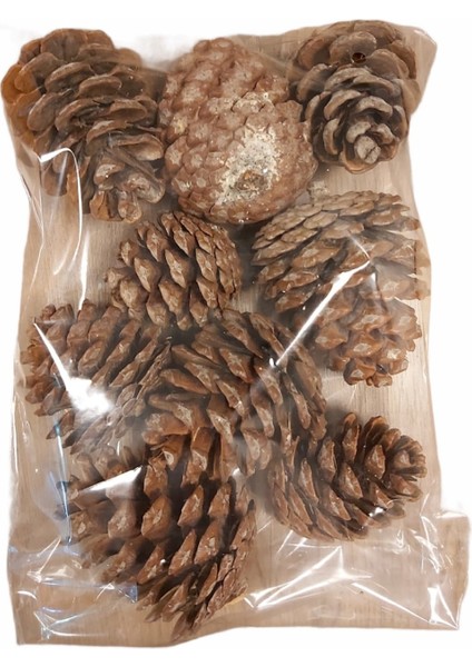 Çam Kozalağı 9 Adet Doğal Dekoratif Süs Kozalağı