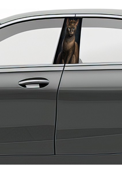 Araç Kapı Direk Kaplama Folyosu Desenli (Sağ Sol Takım) (2 Adet) - 22X50 cm