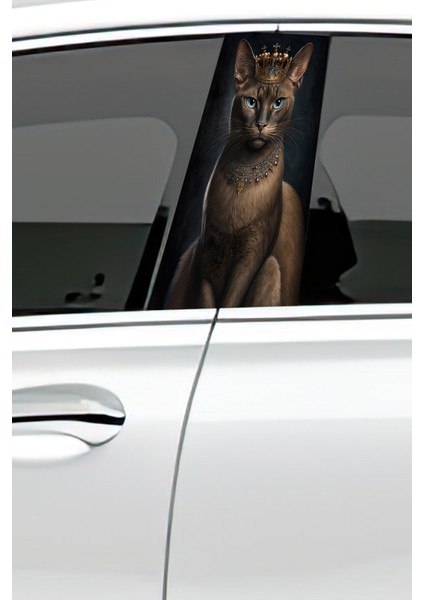 Araç Kapı Direk Kaplama Folyosu Desenli (Sağ Sol Takım) (2 Adet) - 22X50 cm fiyatları