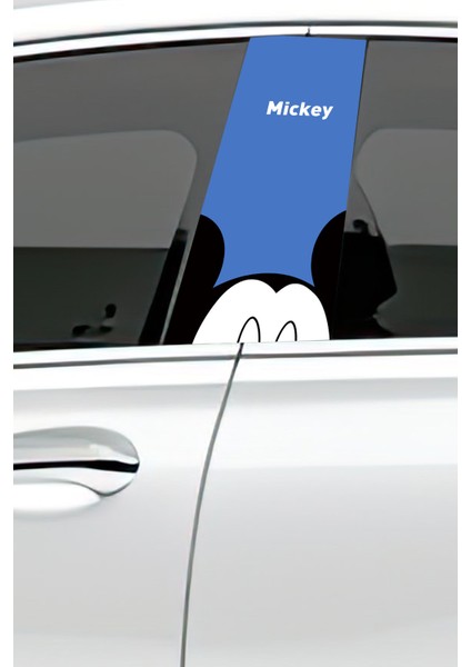 Araç Kapı Direk Kaplama Folyosu Desenli (Sağ Sol Takım) (2 Adet) - 22X50 cm fiyatları