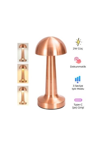 Dl-06 Şarjlı Masa Lambası |6 Saat Tekşarjla Çalışma,dokunmatik,3 Işık MODU,1200 Mah,taşınabilir