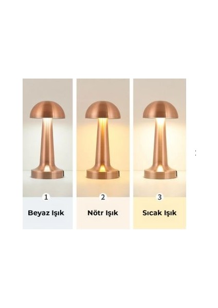 Dl-06 Şarjlı Masa Lambası |6 Saat Tekşarjla Çalışma,dokunmatik,3 Işık MODU,1200 Mah,taşınabilir fiyatları