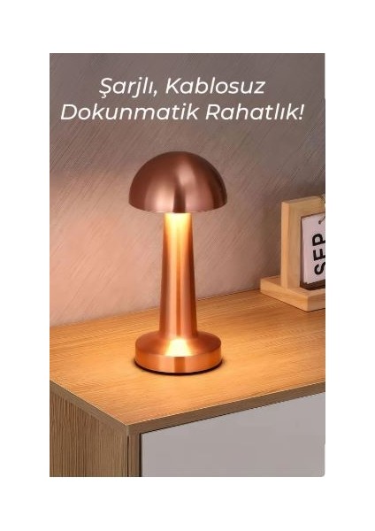 Dl-06 Şarjlı Masa Lambası |6 Saat Tekşarjla Çalışma,dokunmatik,3 Işık MODU,1200 Mah,taşınabilir modelleri